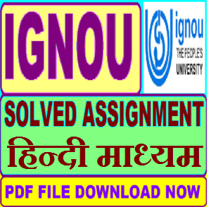 BECC 133 Solved Assignment 2024-25 In Hindi